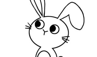 学会画小动物的简笔画 画小白兔简笔画